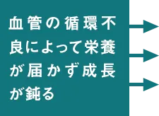 血管の循環不良によって栄養が届かず成長が鈍る