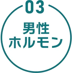 03 男性ホルモン