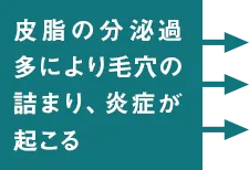 皮脂の分泌過多により毛穴の詰まり、炎症が起こる