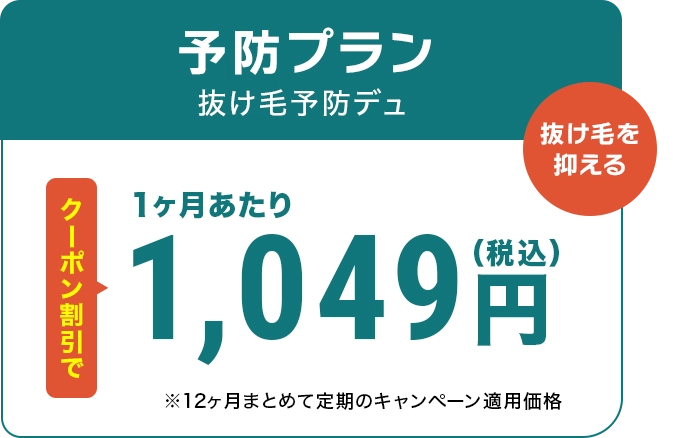 予防プラン