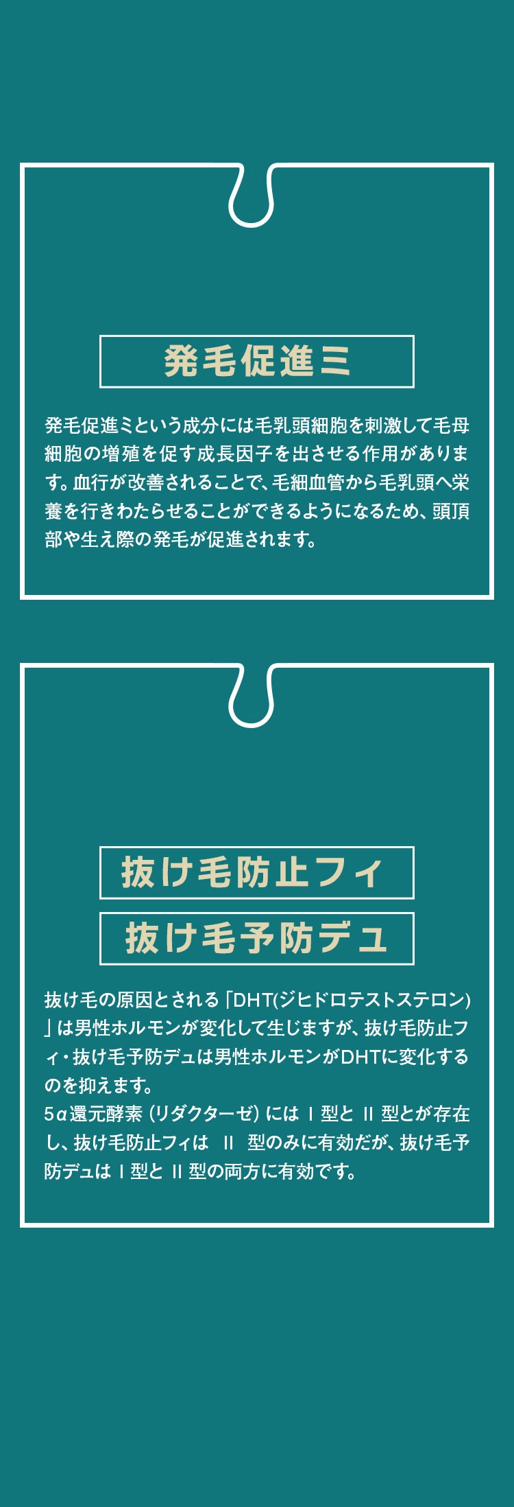 背景