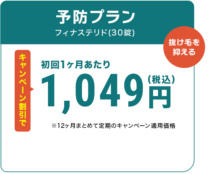 予防プラン
