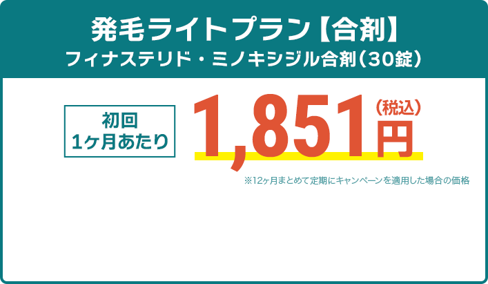 初回0円、2か月目以降もずっと、3,412円（税込）