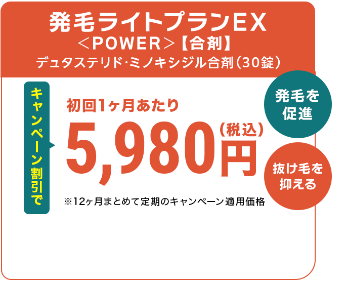 発毛ライトプランEX＜POWER＞
