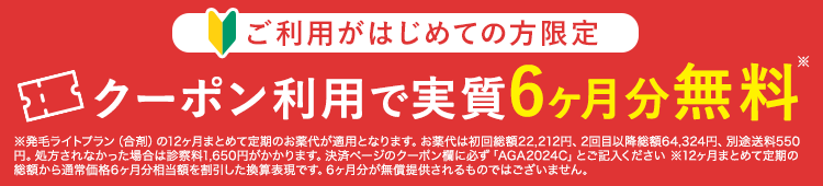 6ヶ月分無料