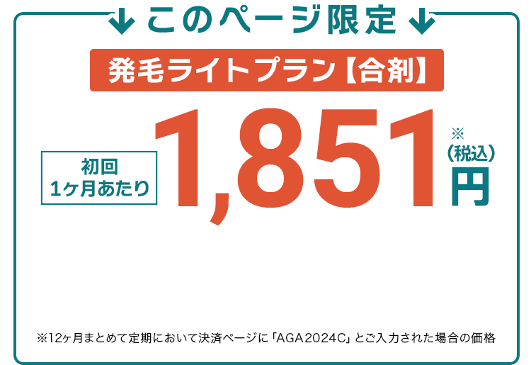 このページ限定
