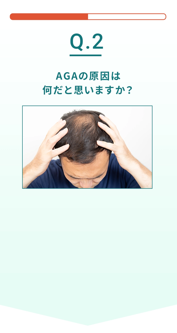 Q2.AGAの原因は何だと思いますか？