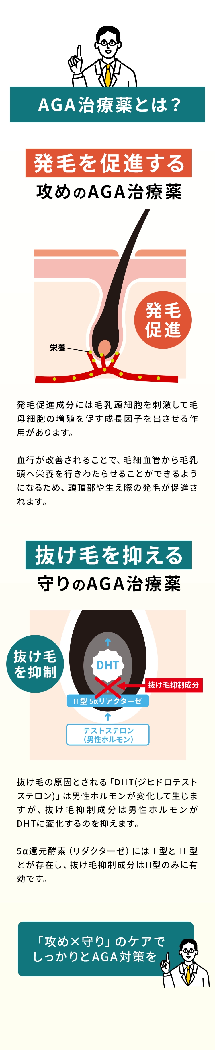 GLP-1とは？