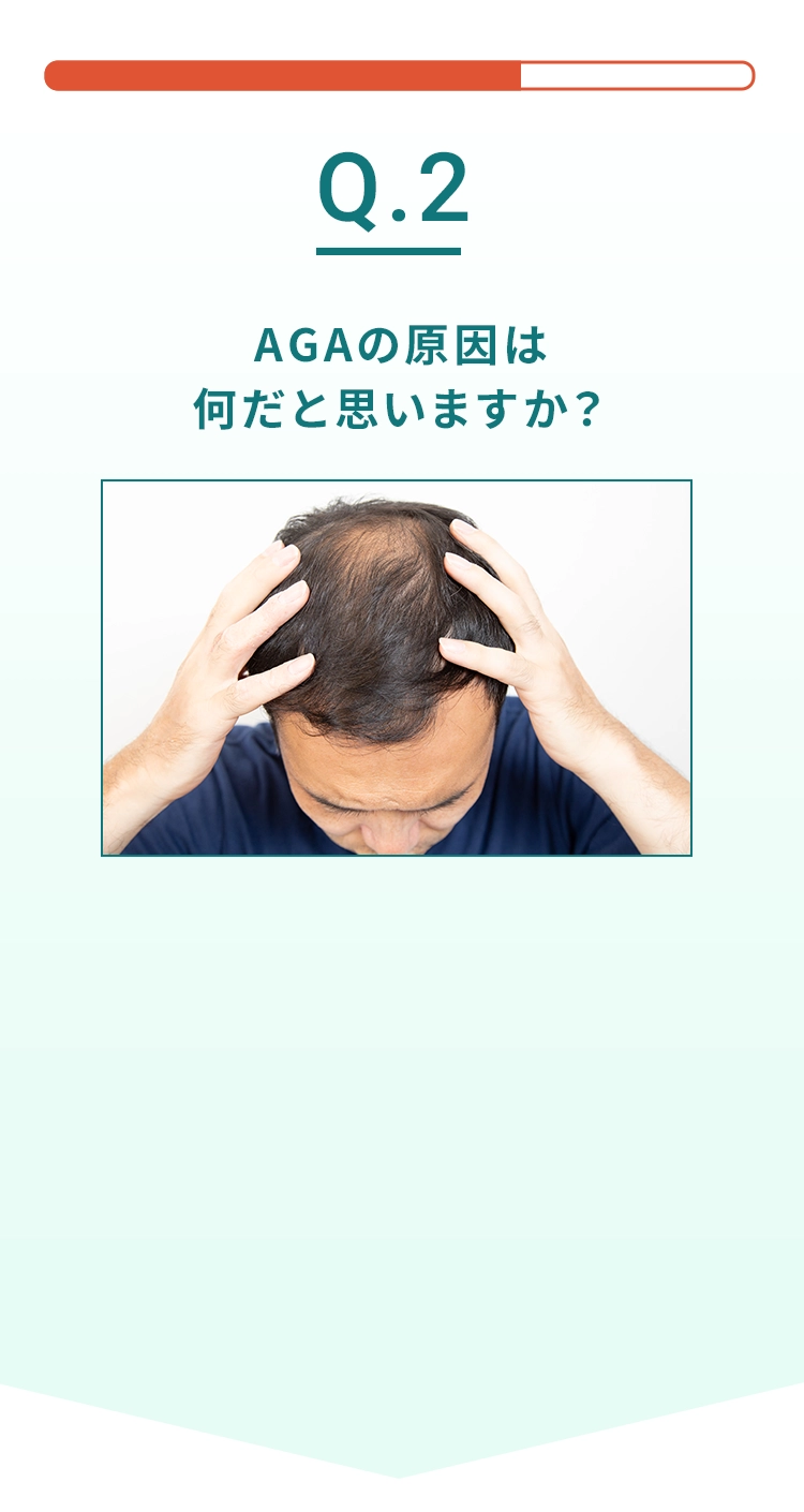 Q2.AGAの原因は何だと思いますか？