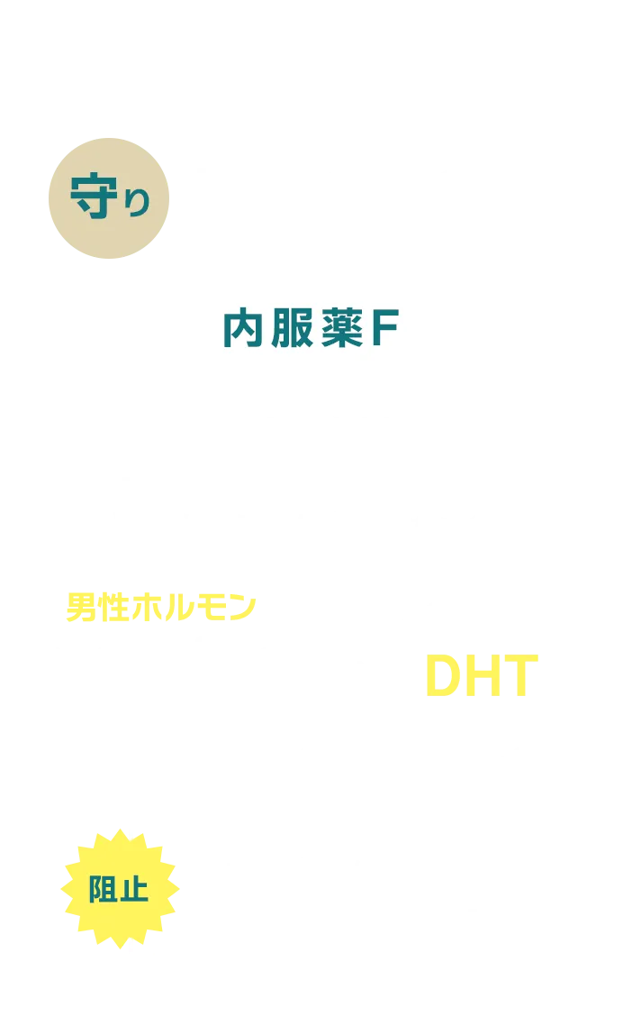 内服薬Fで抜け毛を抑える