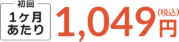1ヶ月あたり1,049円（税込）