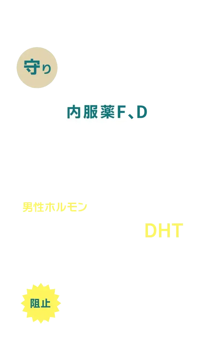 内服薬Mで抜け毛を抑える