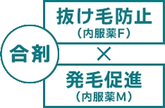 抜け毛防止(内服薬F)+発毛促進(内服薬M)の合剤