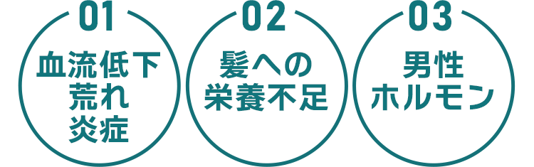 血流低下 髪への栄養不足 男性ホルモン