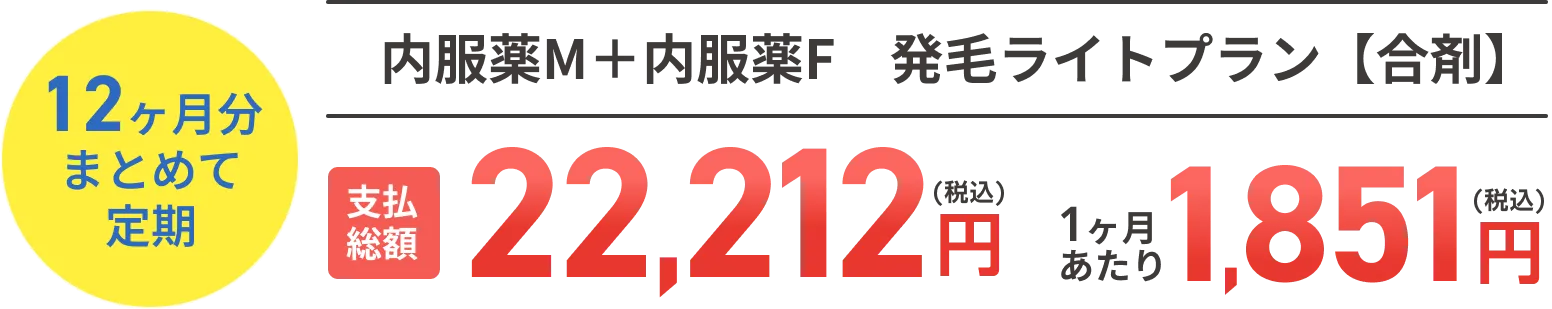 12ヶ月分まとめて定期 内服薬M＋内服薬F　発毛ライトプラン【合剤】支払総額22,212円(税込)1ヶ月あたり1,851円(税込)