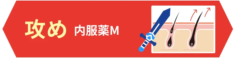攻め 内服薬M
