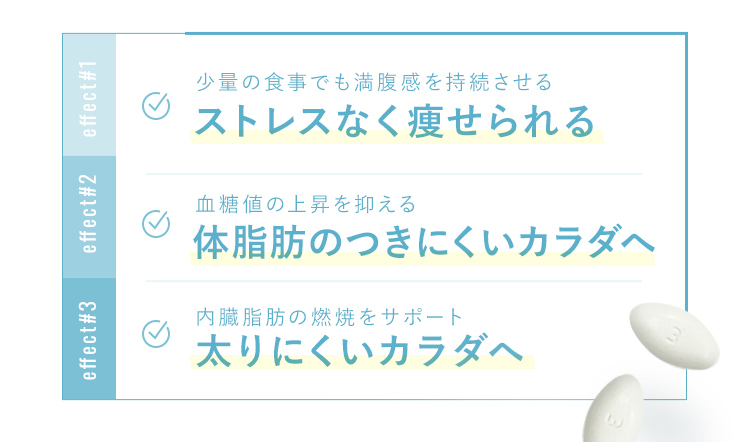 ストレスなく痩せれられる・体脂肪のつきにくいカラダへ・太りにくいカラダへ