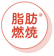 脂肪燃焼