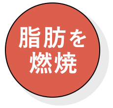 脂肪を燃焼