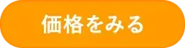 価格をみる