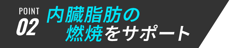 POINT02 内臓脂肪の燃焼をサポート