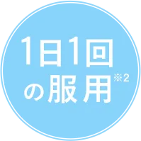 1日1回の服用