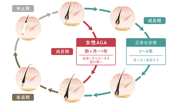 図表