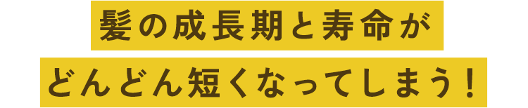 髪の成長期と寿命がどんどん短くなってしまう！