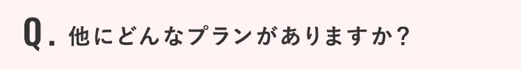 他にどんなプランがありますか？