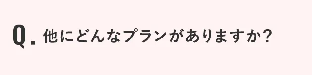 他にどんなプランがありますか？