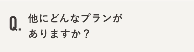 他にどんなプランがありますか？