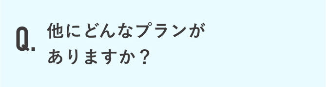 他にどんなプランがありますか？
