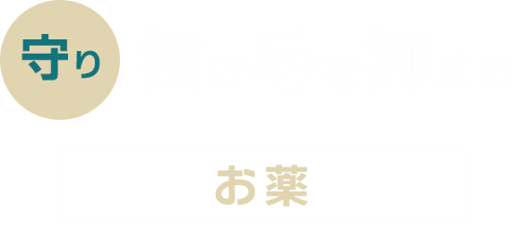 守り 抜け毛を抑える フィナステリド デュタステリド