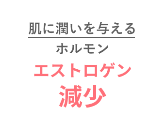 肌に潤いを与えるホルモン エストロゲン減少