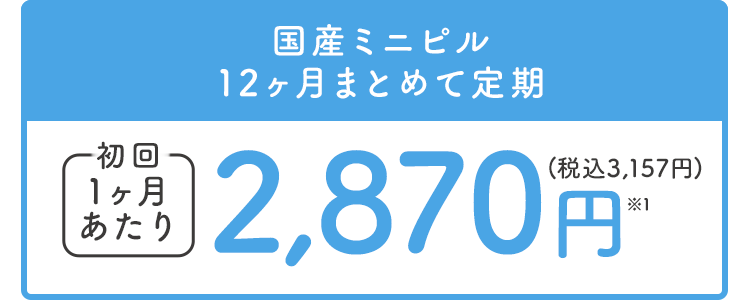 スリンダ2ヶ月まとめて定期