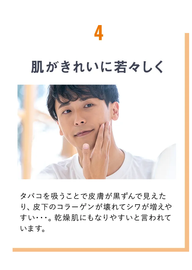 肌がきれいに若々しく