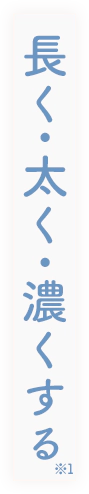 長く・太く・濃くする※
