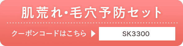SK3300