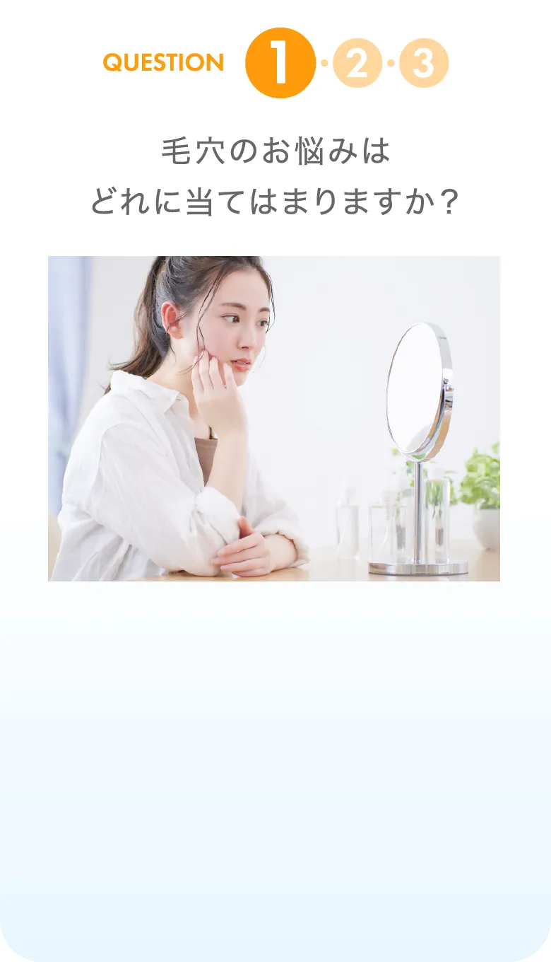 毛穴のお悩みはどれに当てはまりますか？