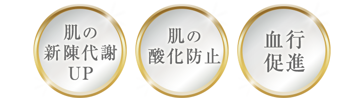 肌の新陳代謝UP 肌の酸化防止 血行促進