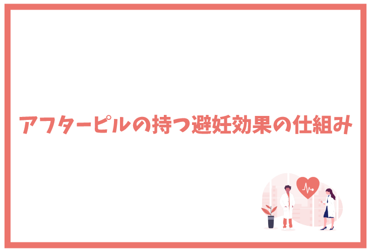 アフターピルの持つ避妊効果の仕組み