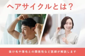 ヘアサイクルの仕組みや髪が生え変わる周期を解説する画像