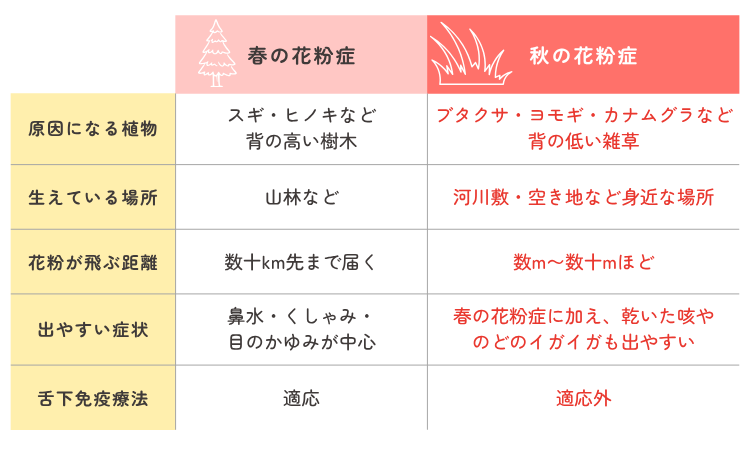 春の花粉症と秋の花粉症を比較した表。原因になる植物は、春がスギ・ヒノキなど背の高い樹木、秋がブタクサ・ヨモギ・カナムグラなど背の低い雑草。生えている場所は、春が山林など、秋が河川敷・空き地など身近な場所。花粉が飛ぶ距離は、春が数十km先まで届き、秋は数m〜数十mほど。出やすい症状は、春が鼻水・くしゃみ・目のかゆみが中心、秋は春の症状に加えて乾いた咳やのどのイガイガも出やすい。舌下免疫療法は、春が適応、秋は適応外。
