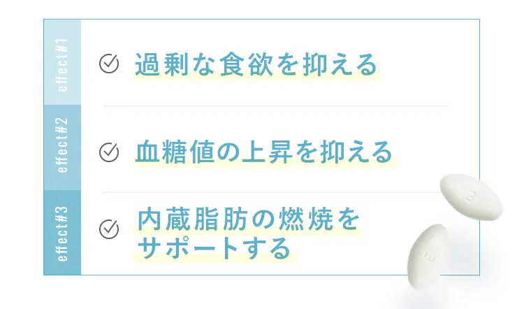 ストレスなく痩せれられる・体脂肪のつきにくいカラダへ・太りにくいカラダへ